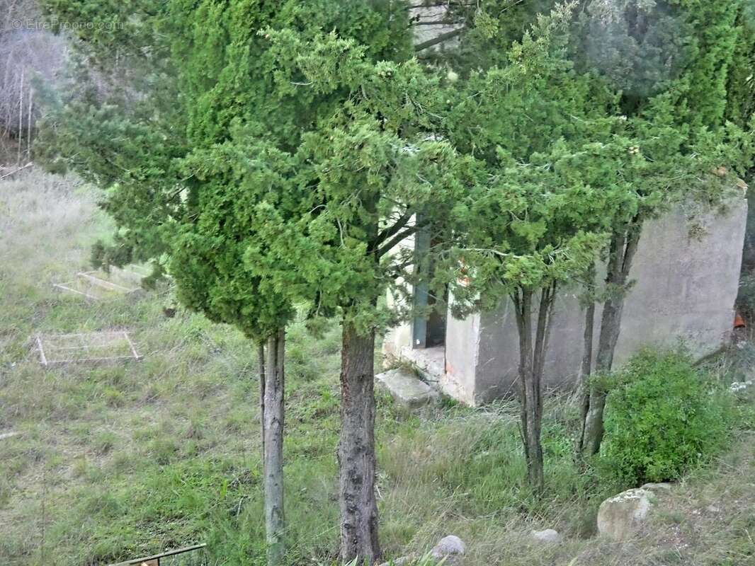 Photo 2 - Maison à OLONZAC