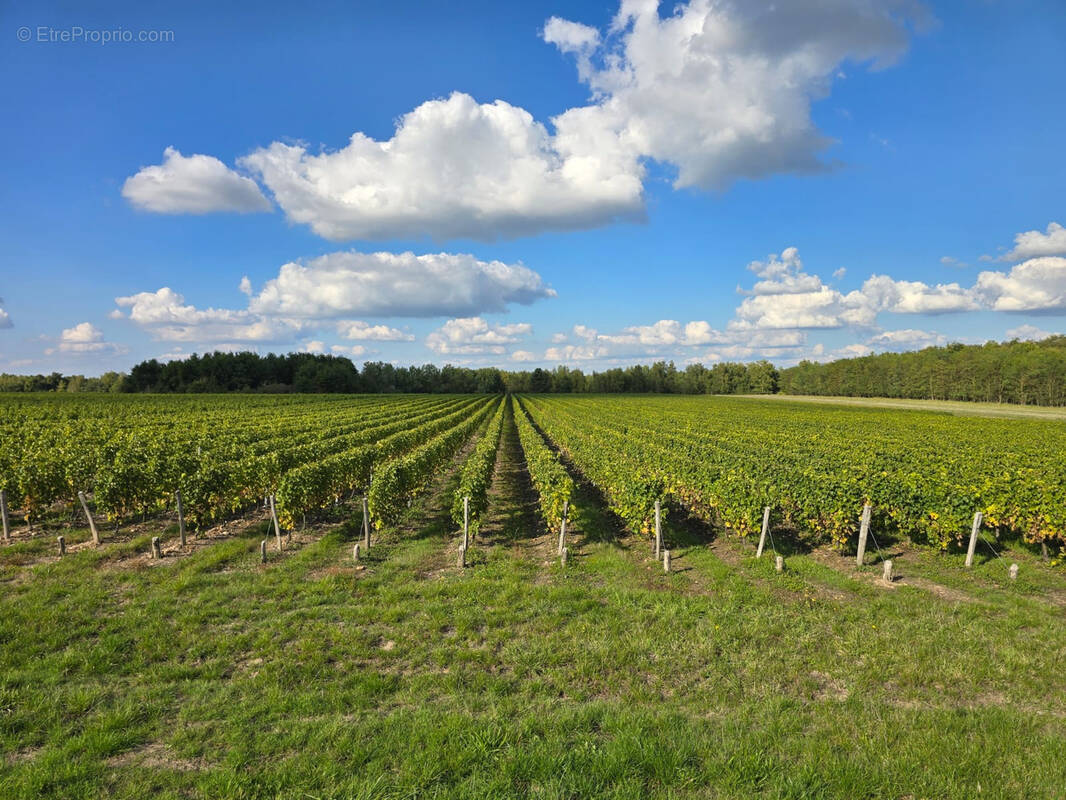 Terrain à FONTGUENAND