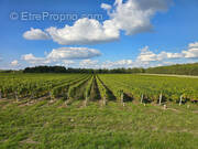 Terrain à FONTGUENAND