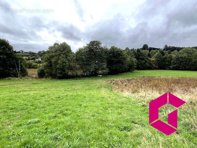 Maison à SAINT-ALYRE-D'ARLANC