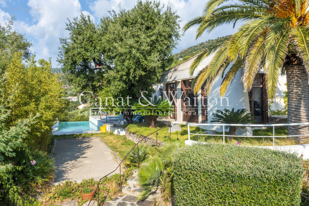 Village à pieds & proche plage du rayol: villa avec piscine et vue mer panoramique - photo 14