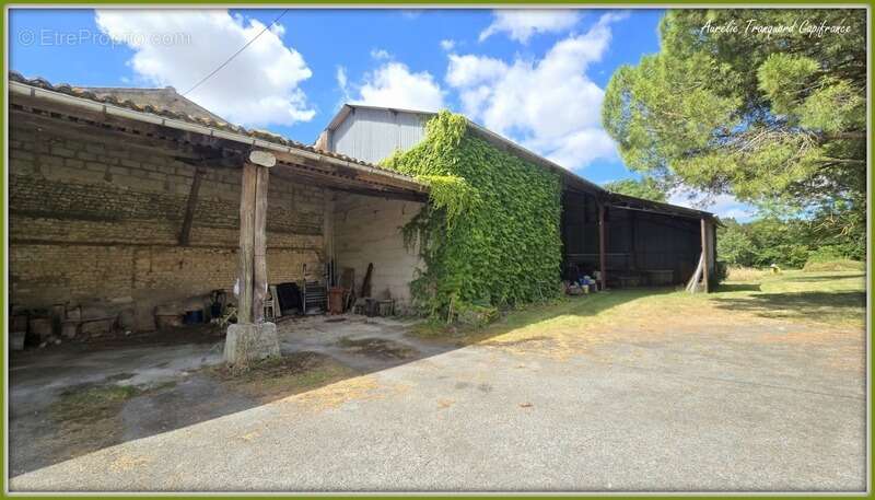 Maison FAMILIALE à vendre 8 pièces (226m²) à SAINT PIERRE DE JUILLERS (17) sur plus d'1 hectare de terrain avec HANGAR et DEPEND - photo 5