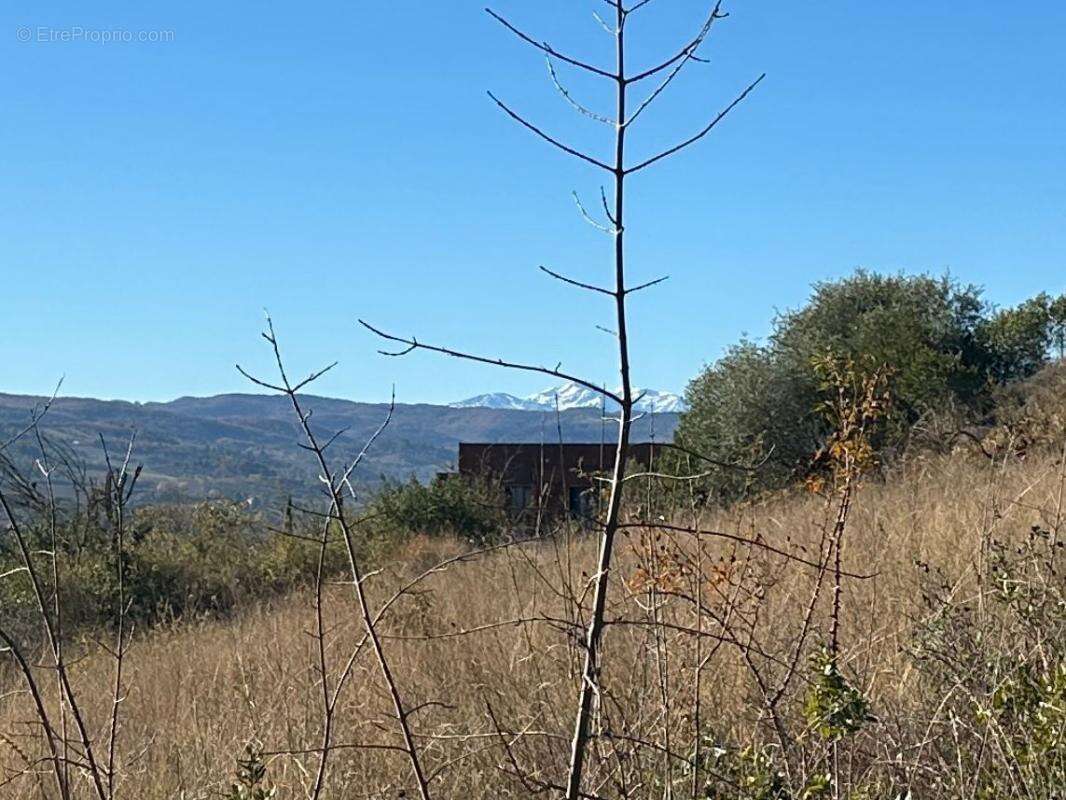 Terrain à LIMOUX