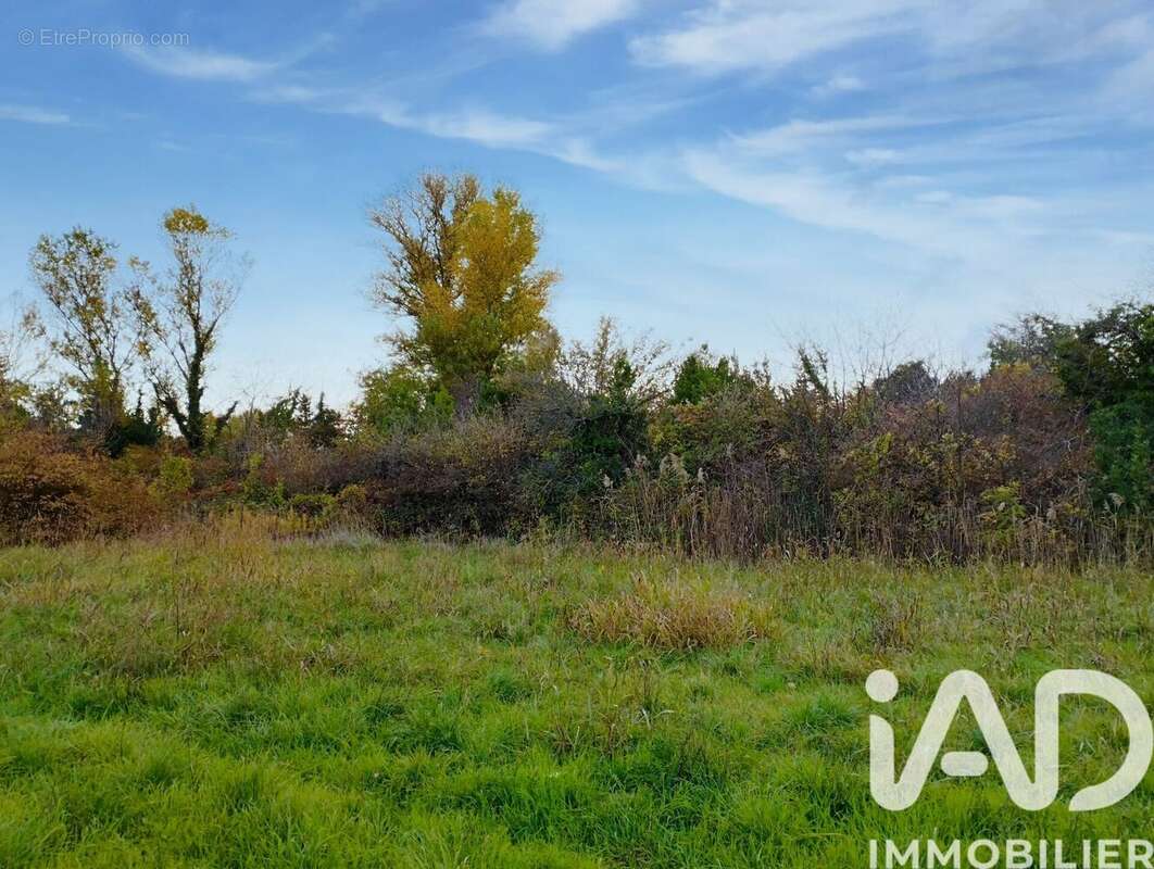 Photo 4 - Terrain à CRUAS