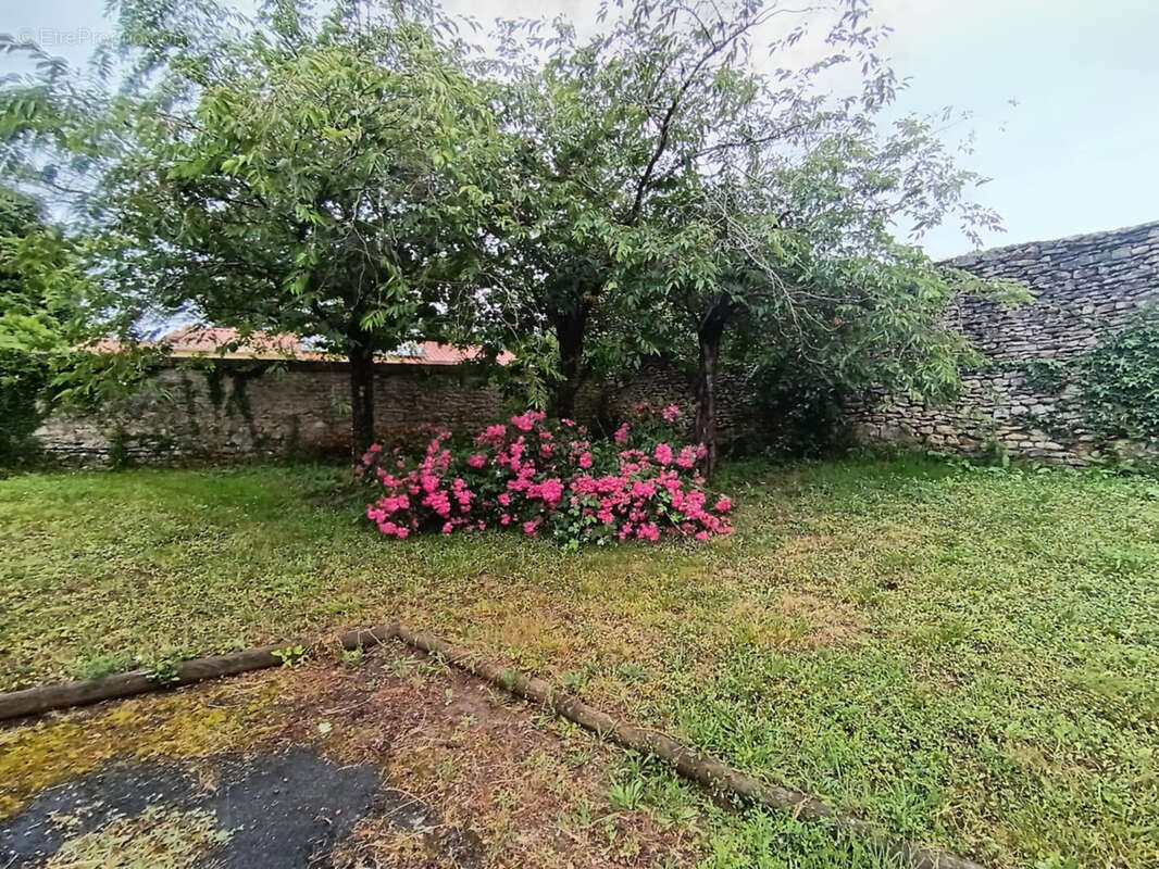 Propriete de 7 chambres - photo 3