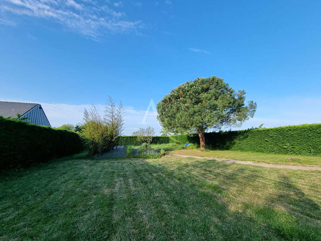 Terrain à CHAMPTOCE-SUR-LOIRE