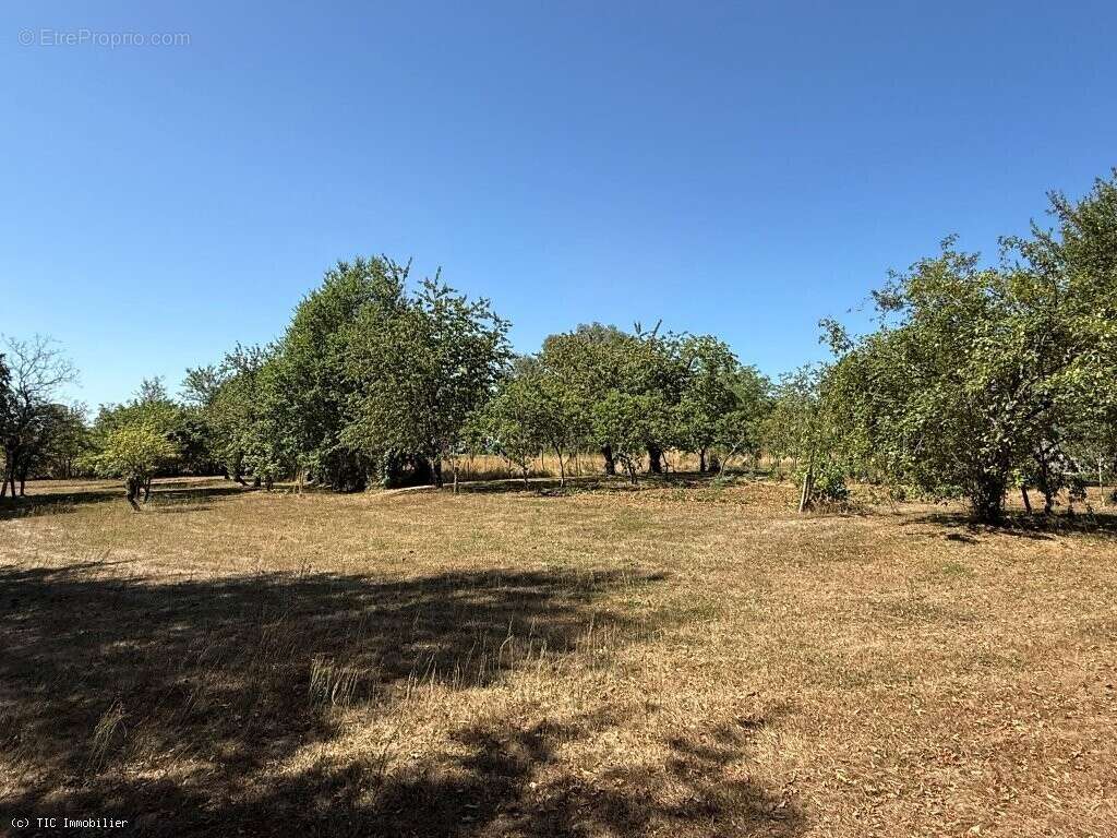 Maison de Campagne au Calme Avec 3 Chambres et Terrain - photo 28