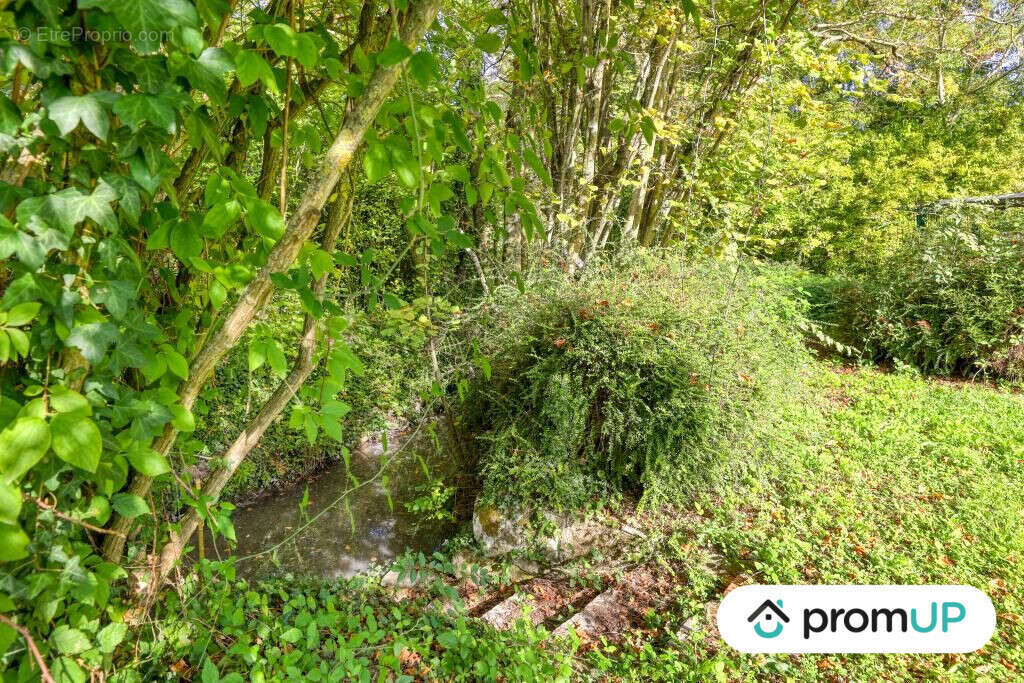 Terrain à LA CHAPELLE-SAINT-LAURIAN