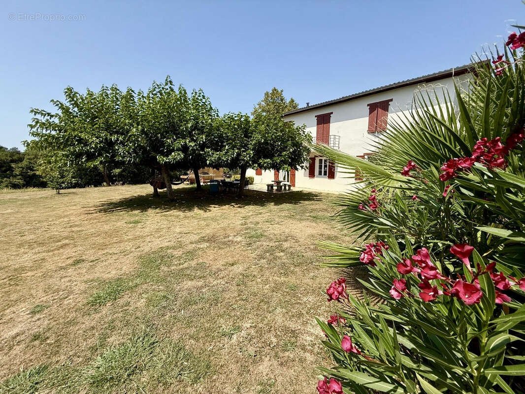 Maison à SAINT-PALAIS