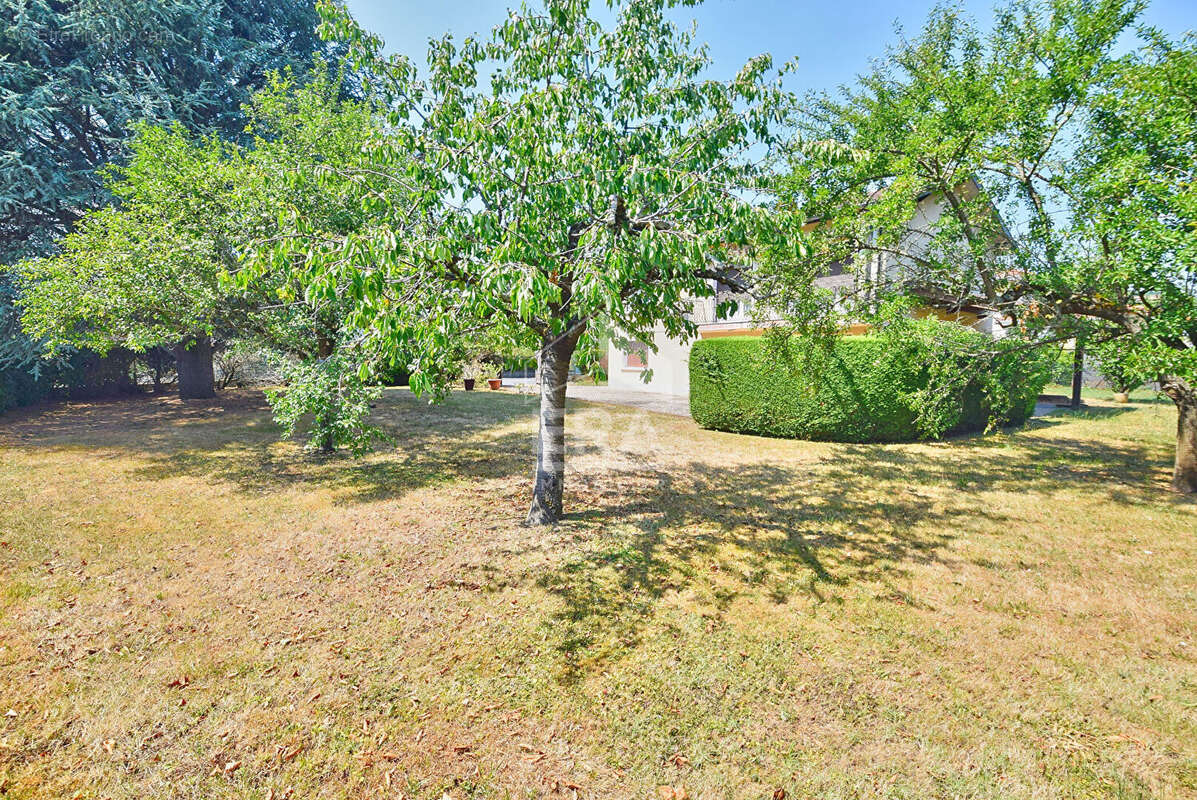 Maison 137m² à chazay-d'azergues - photo 3