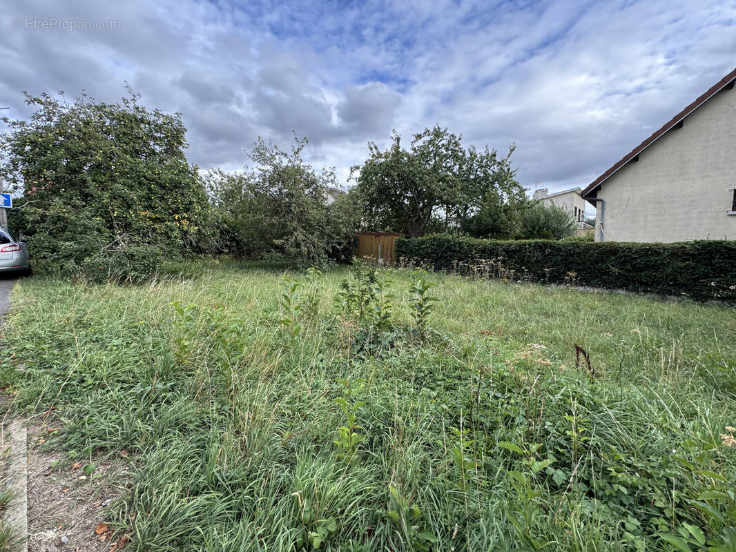 Terrain à SAINTRY-SUR-SEINE