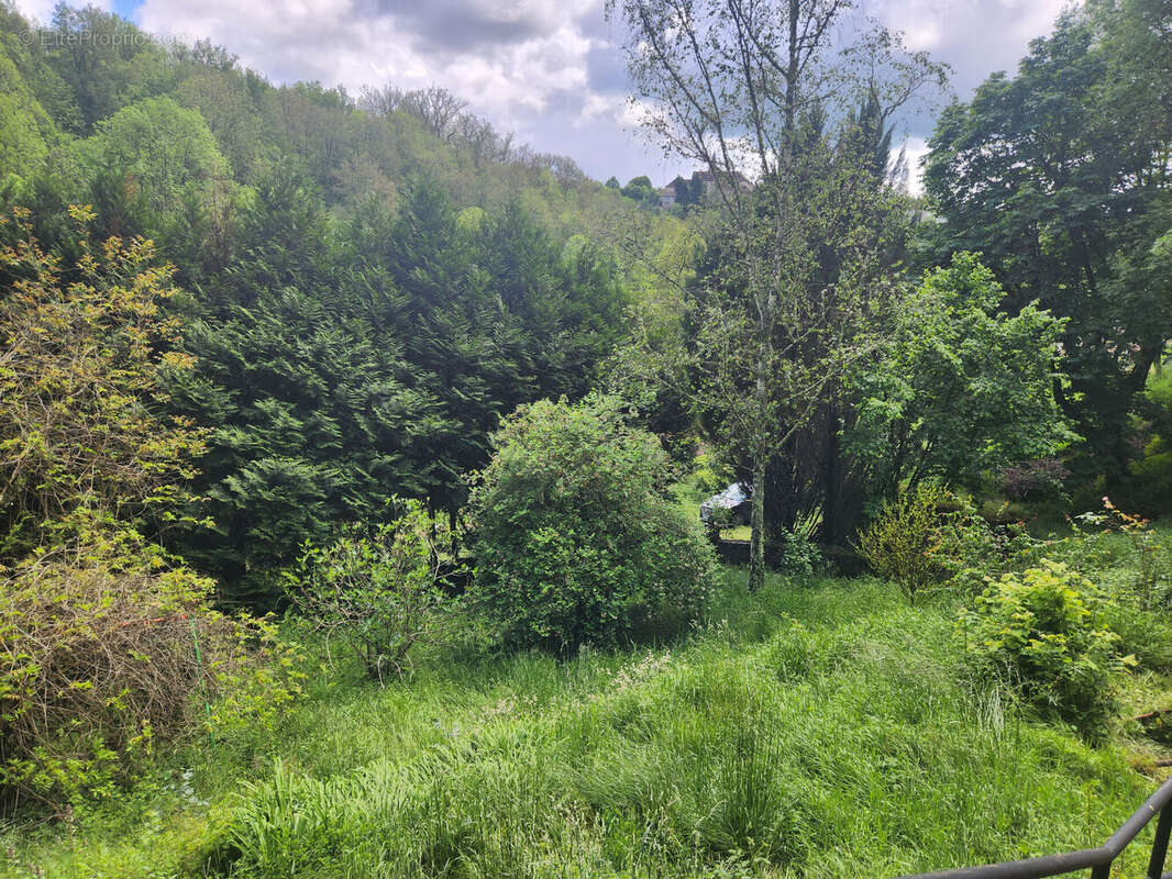 Photo 3 - Maison à PIERRE-BUFFIERE