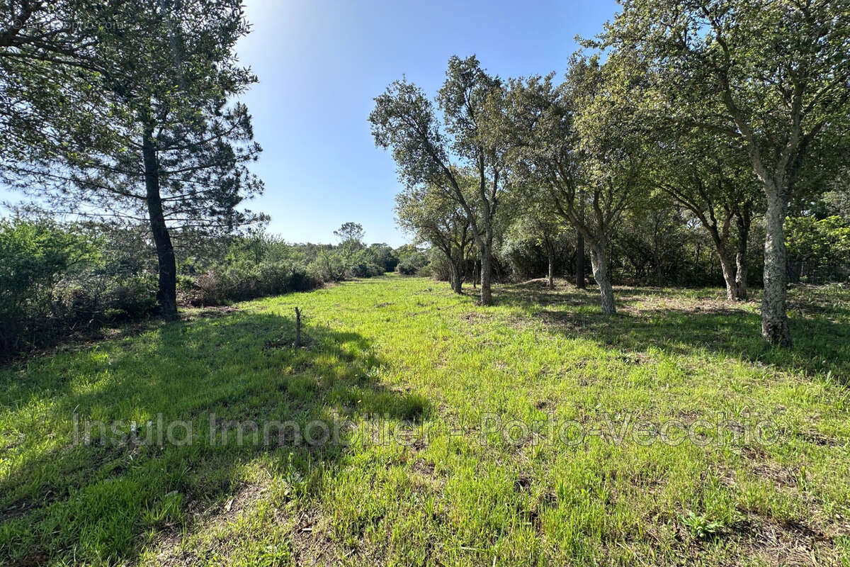 Terrain à PORTO-VECCHIO