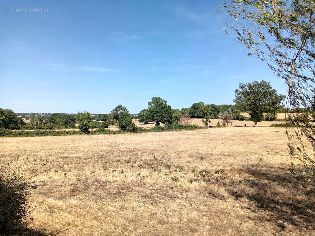 Maison sur 1.3 hectare sans voisins ! - photo 3