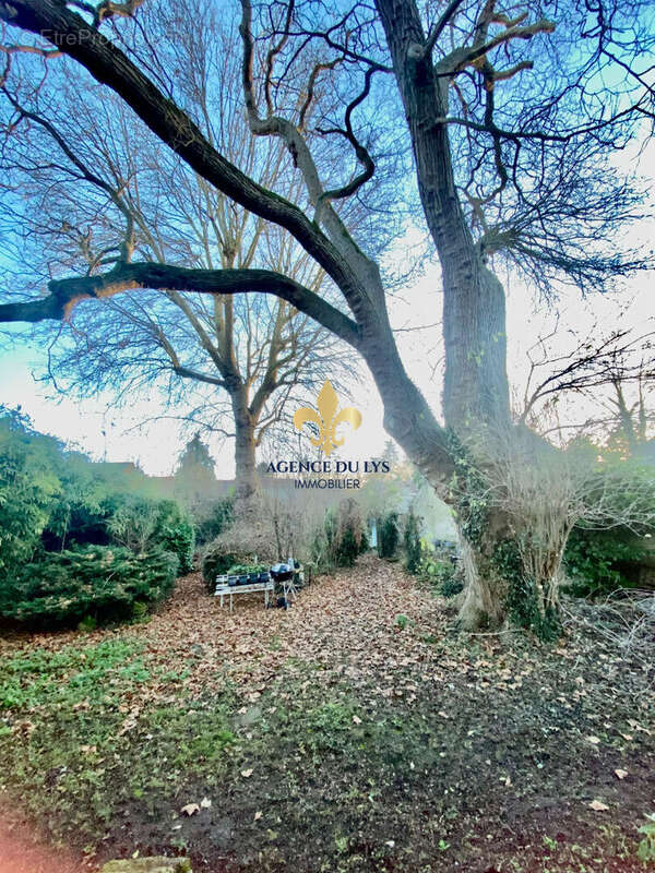 Appartement à COYE-LA-FORET