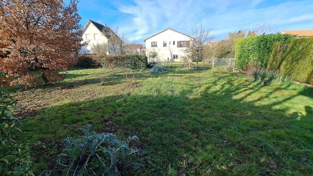 jardin arriere  - Maison à POITIERS