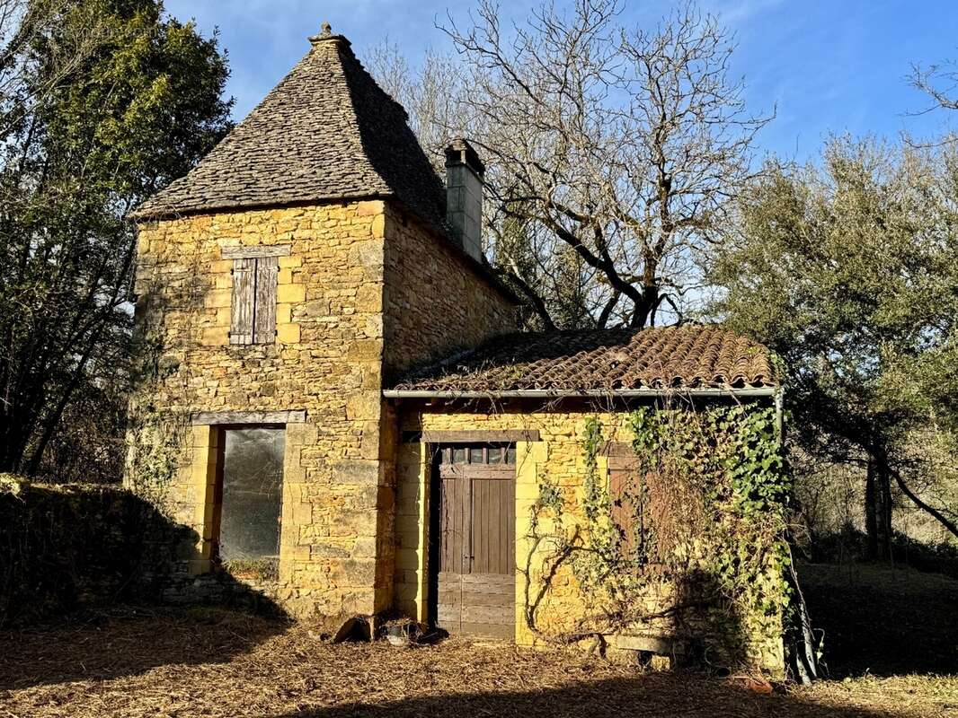 IMG_1221.jpeg - Maison à BEYNAC-ET-CAZENAC