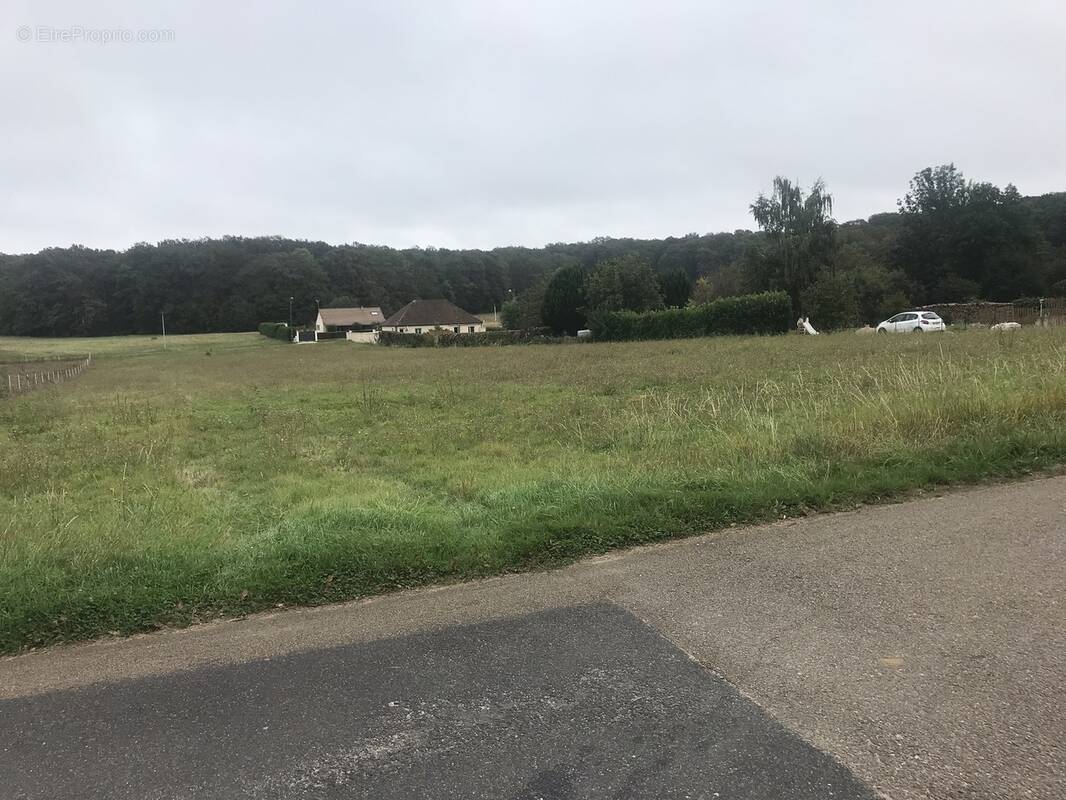 Terrain à SAINT-SEROTIN