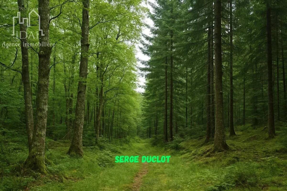 Terrain à SAINT-DENIS-EN-MARGERIDE