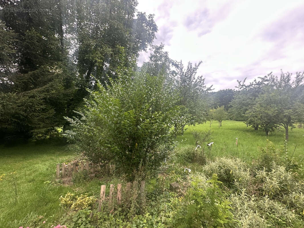 Maison à BAN-DE-LAVELINE