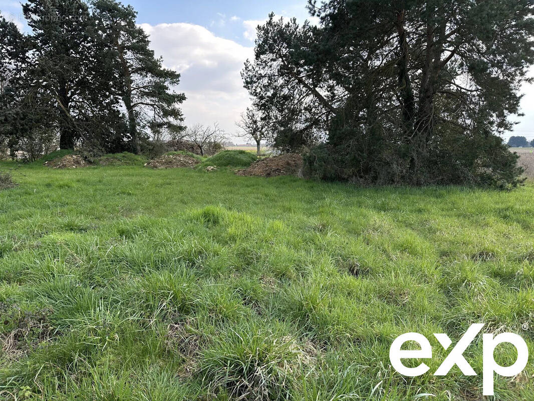 Terrain à ATHEE-SUR-CHER