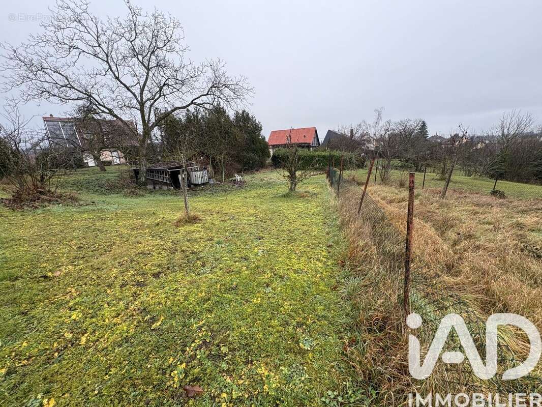Photo 6 - Terrain à SAVERNE