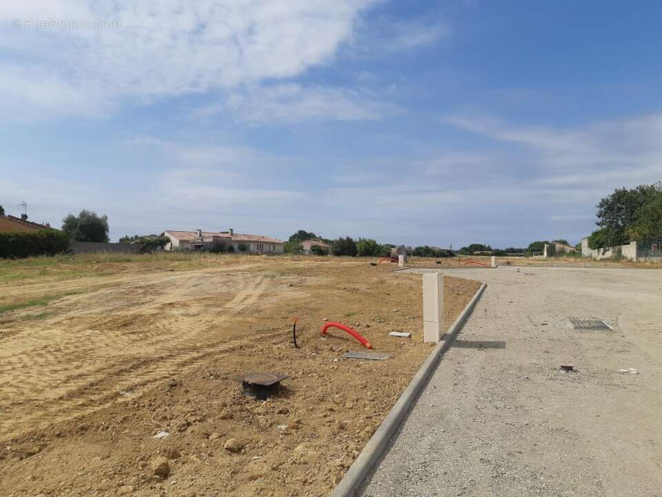 Terrain 700 m² à Grisolles  - photo 3