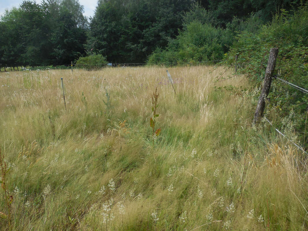Vente petite maison de village, 3 pièces, petit terrain AILLEVILLERS - photo 14