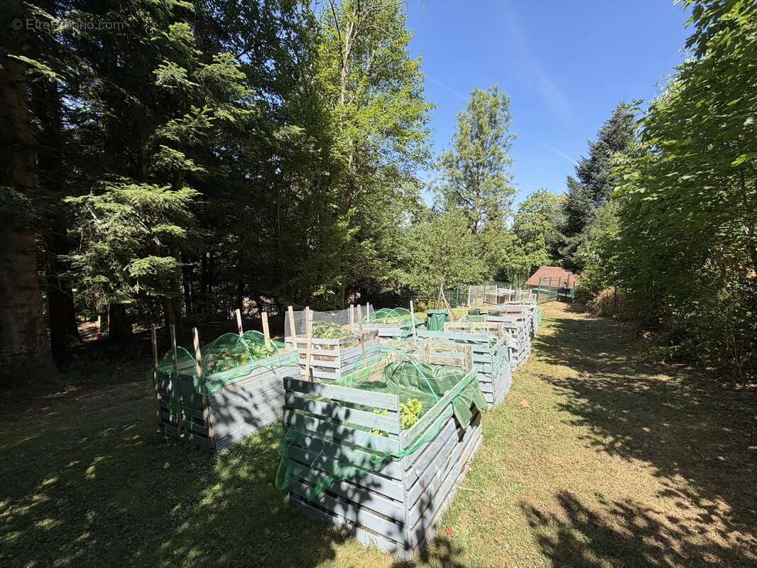 Magnifique ferme dans la forêt  - photo 19