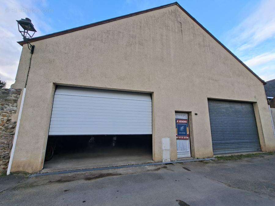 406 m² à Saint-Denis-D'anjou  - photo 1232