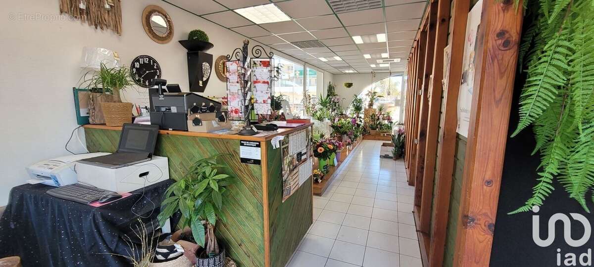 Photo 3 - Commerce à TARNOS