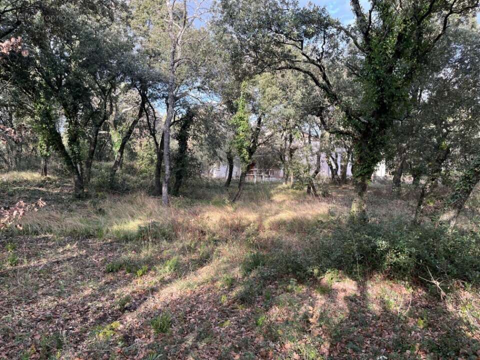Terrain à GRIGNAN