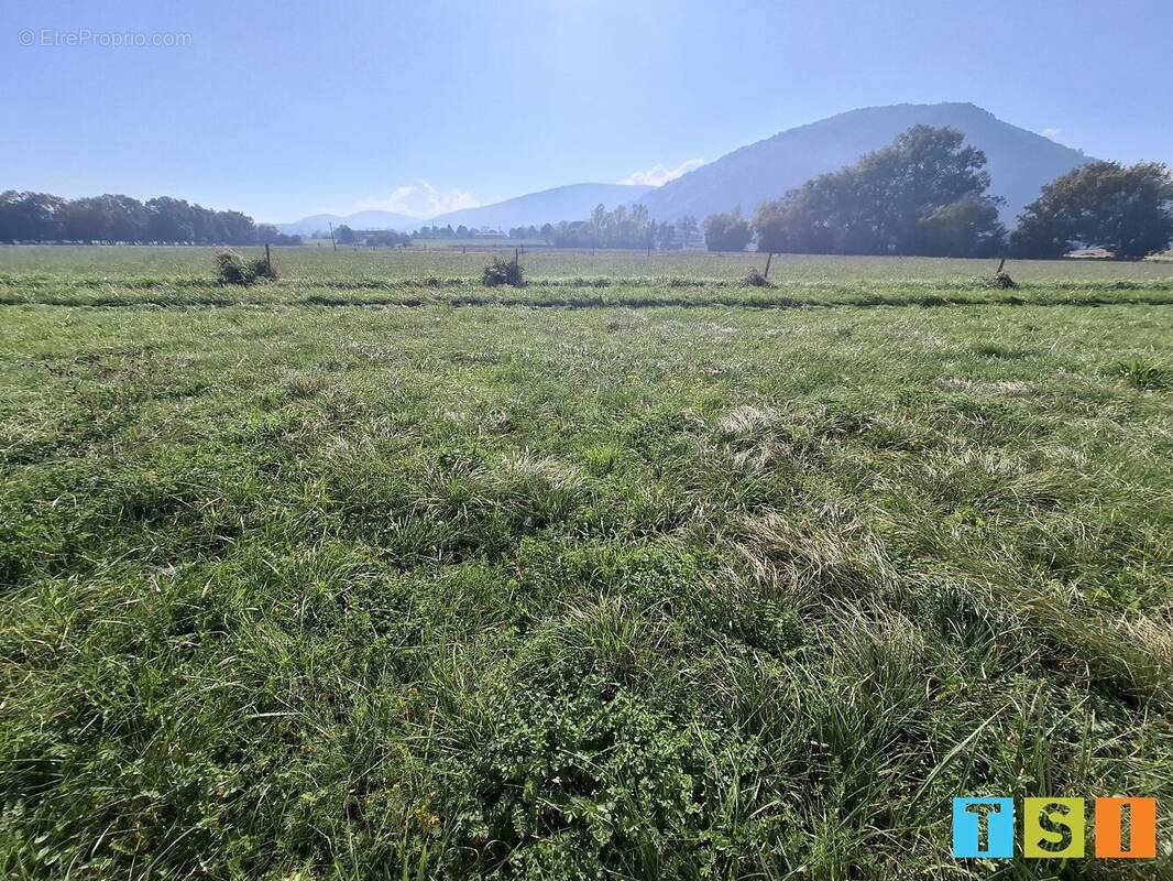 Terrain à MARTRES-DE-RIVIERE