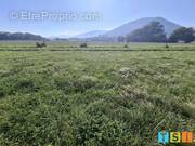 Terrain à MARTRES-DE-RIVIERE