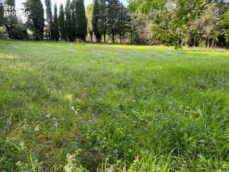 Terrain 926 m² à vendre à Grillon (84600) - photo 3