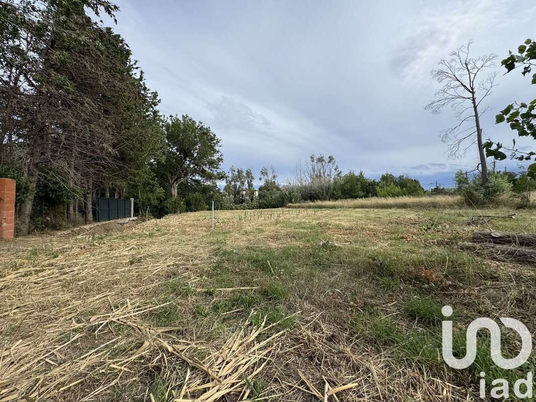 Photo 4 - Terrain à RIVESALTES