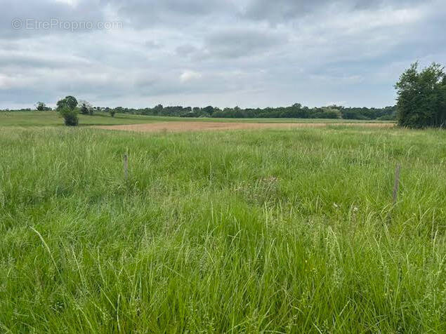 Terrain à BAIGNEAUX