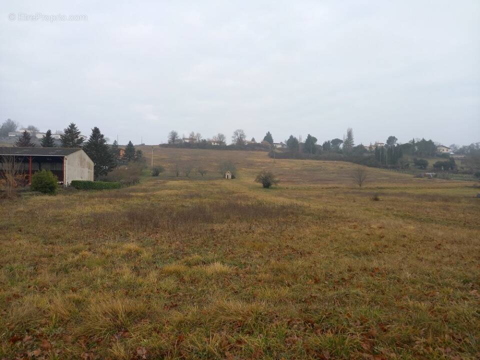 Terrain à RABASTENS