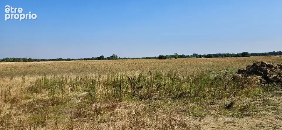 Terrain à LAMASQUERE
