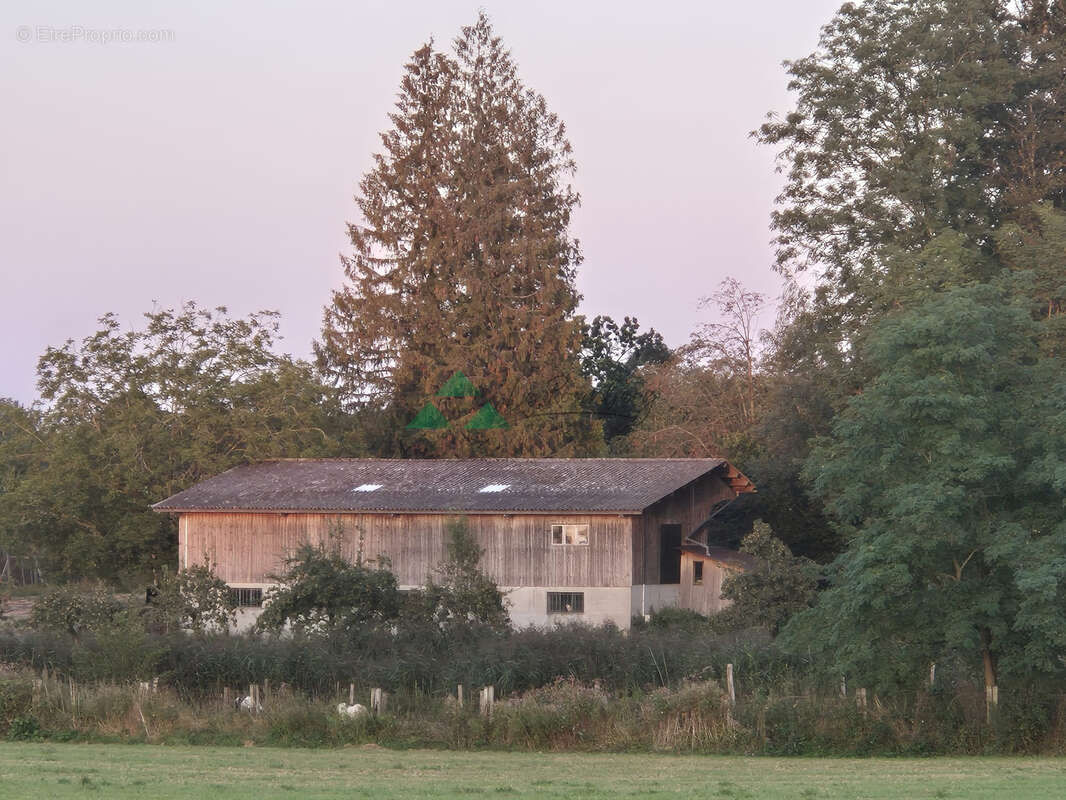 Terrain à VIEUX-FERRETTE