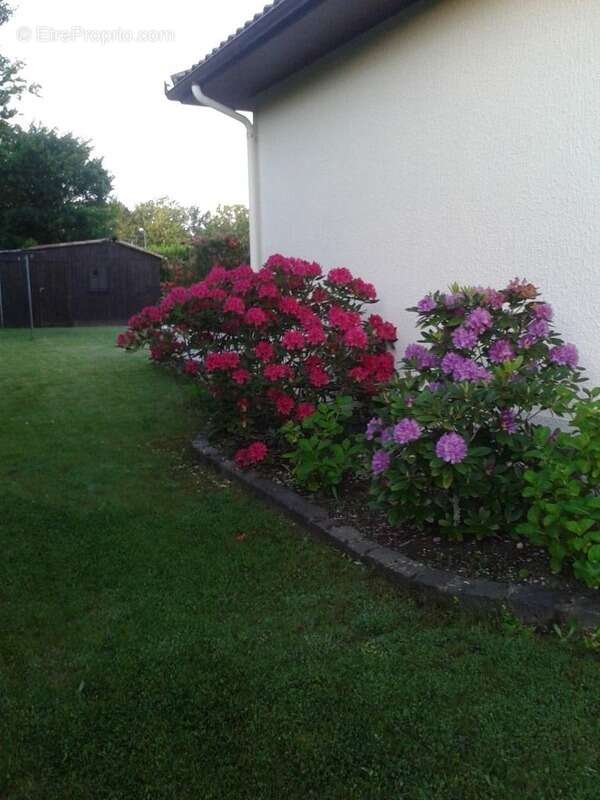 Maison à MARTIGNAS-SUR-JALLE