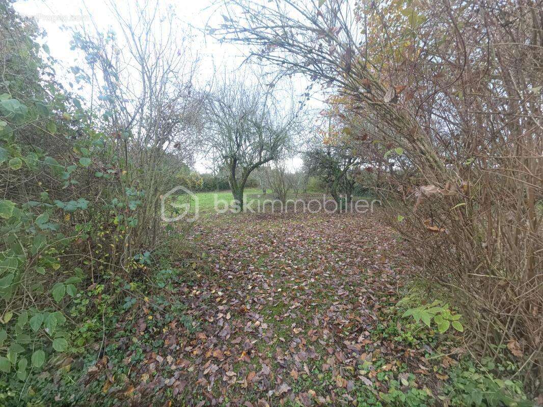 Longère de 210 m² à Courtemaux (45320) - photo 26