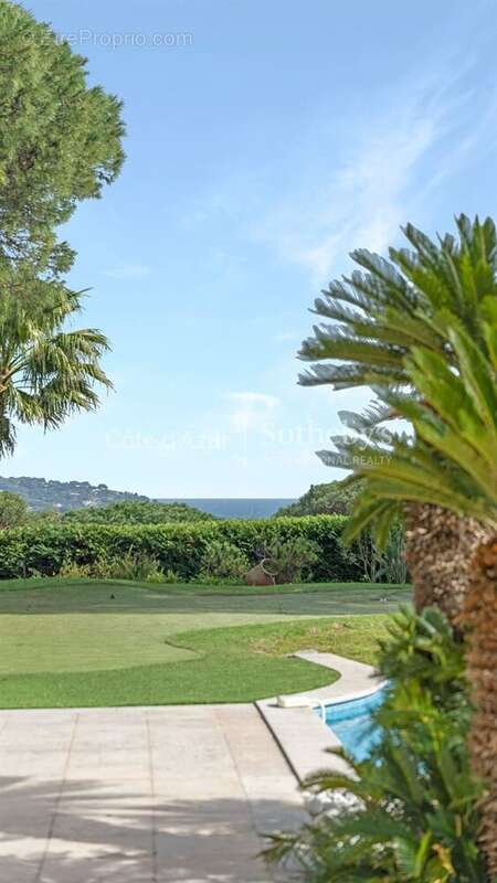 Maison à RAMATUELLE