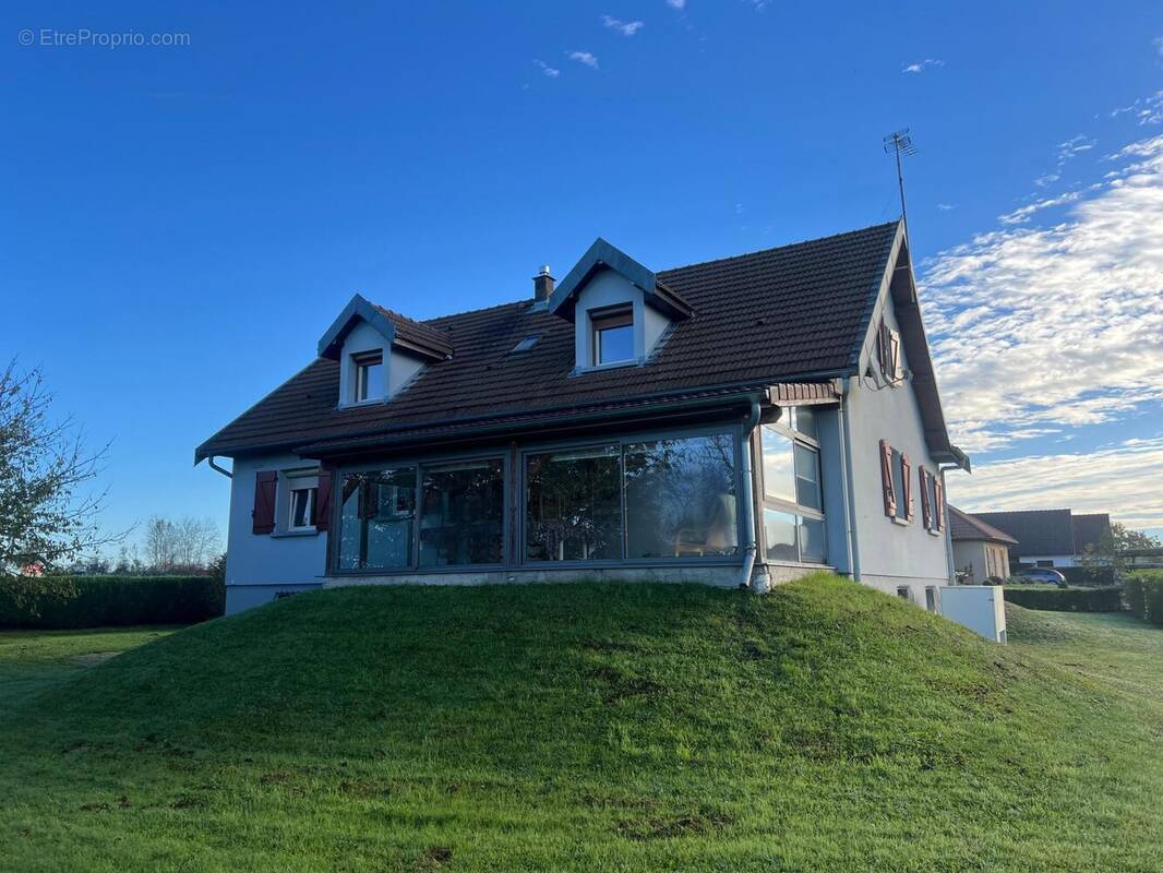 Photo 1 - Maison à NOIDANS-LE-FERROUX