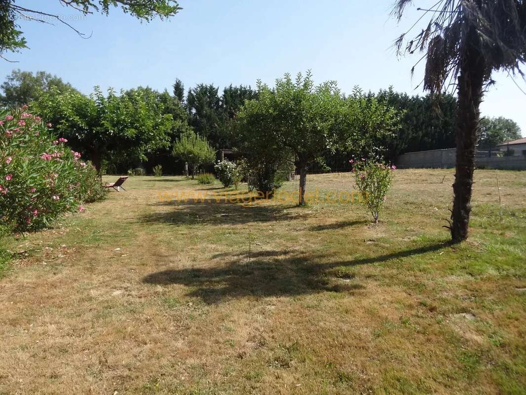 Maison à CASTELNAU-PICAMPEAU