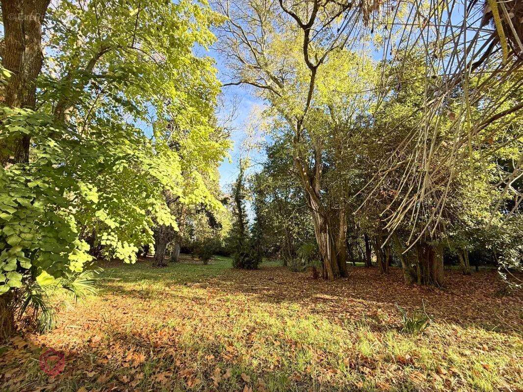 Maison à CARCASSONNE