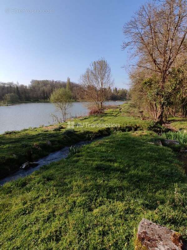 Maison 363 m² à Voulgezac  - photo 4