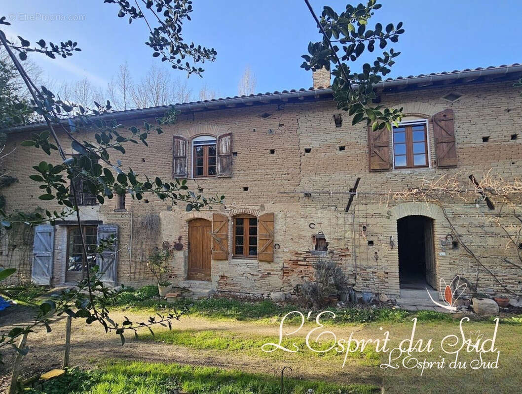 Maison à LISLE-SUR-TARN