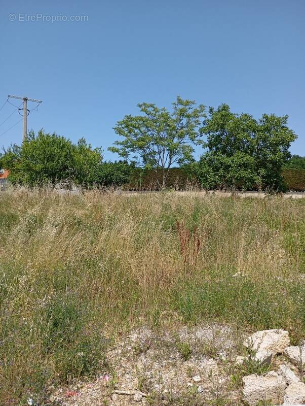 Terrain à SAINT-UZE
