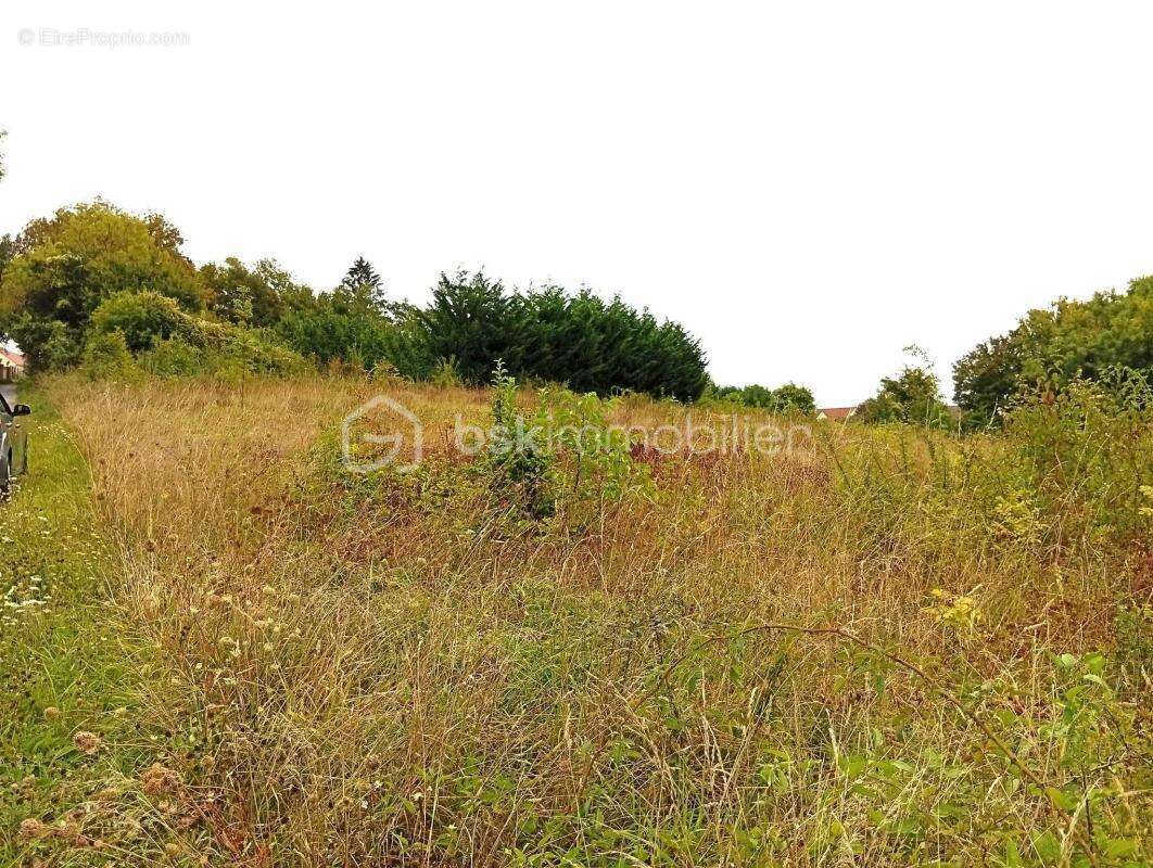 Terrain à SAINTE-GENEVIEVE
